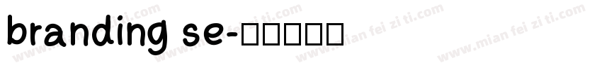 branding se字体转换